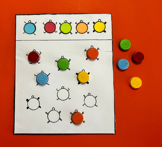Colorful Turtles