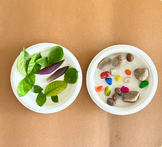 Collect Leaves or Rocks