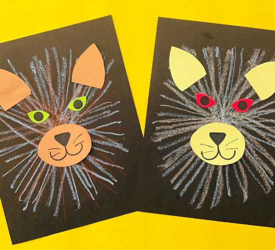 Cat Chalk Scribbling Art