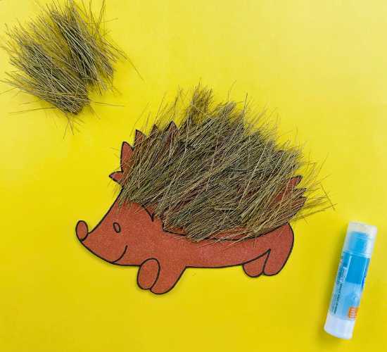 Broom Hedgehog