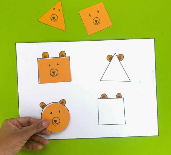 Bear Shape Match