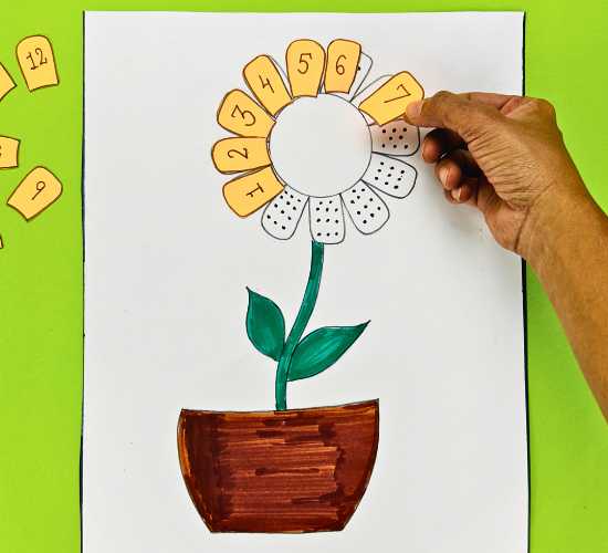 Flower Petals Counting Activity
