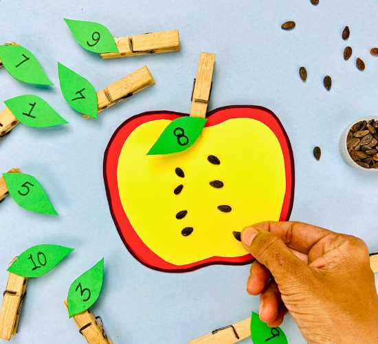 Apple Seeds Counting