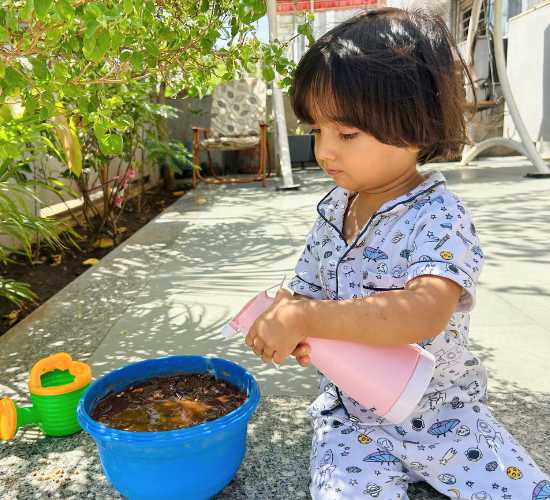 Growing Seeds Activity