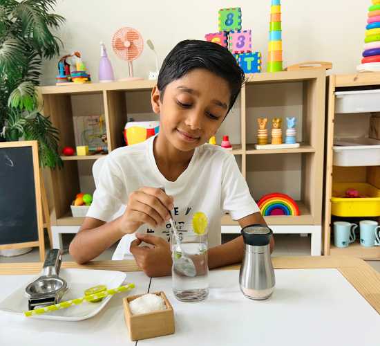 Lemonade Making Activity