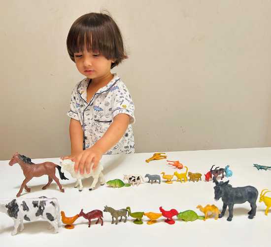 Animal Parade