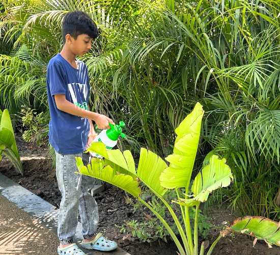 Gardening Activity