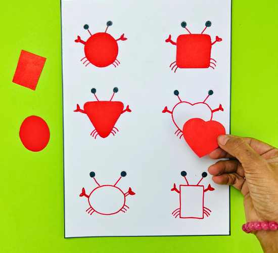 Crab Shape Sorting