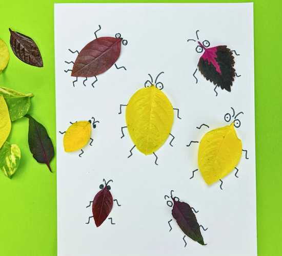 Nature Insect Craft
