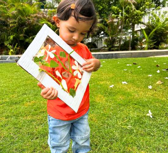 Nature Frame Activity