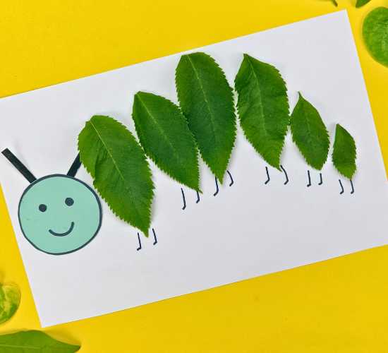 Nature Caterpillar