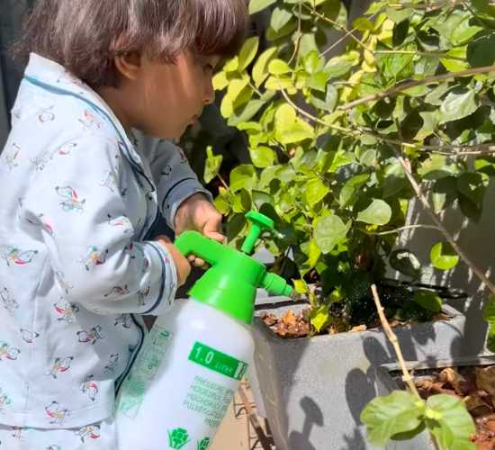 Gardening Fun for Little Ones