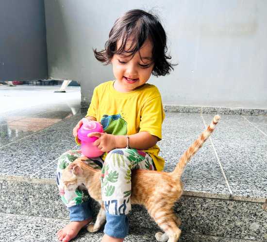 Pet Playtime Activity