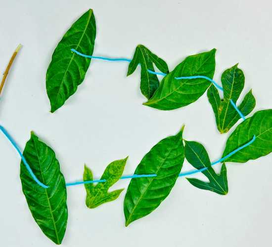 Leaves Threading