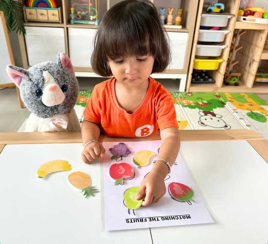 Fruit Placement Activity