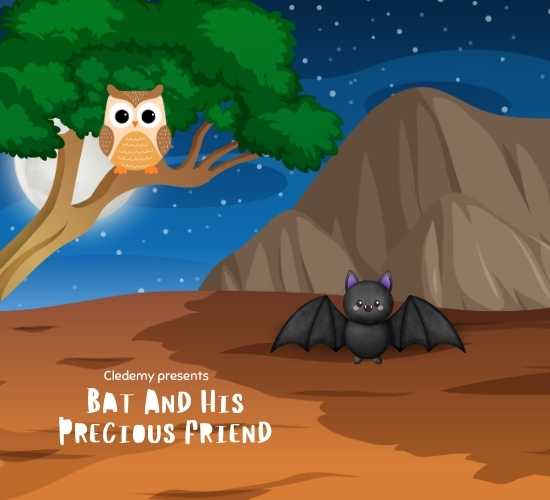 Bat and His Precious Friend
