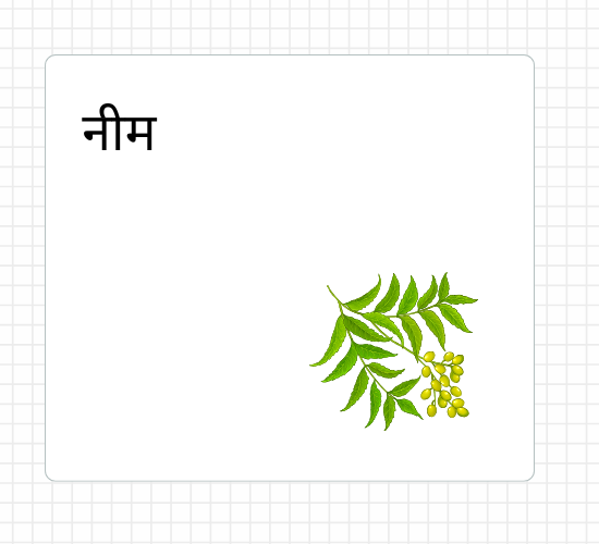 नीम