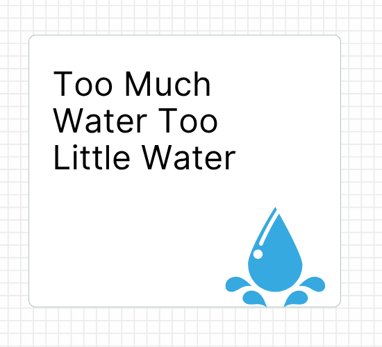 Too Much Water Too Little Water