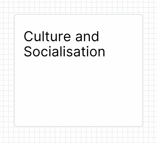 Culture and Socialisation
