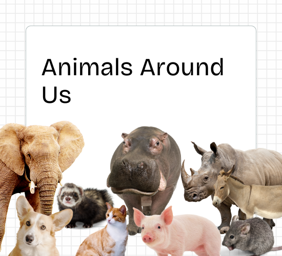 Animal Around Us