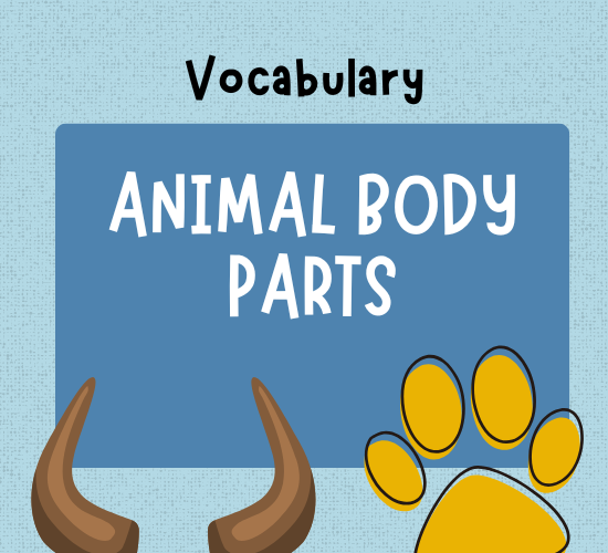 Animal Body Parts Vocabulary