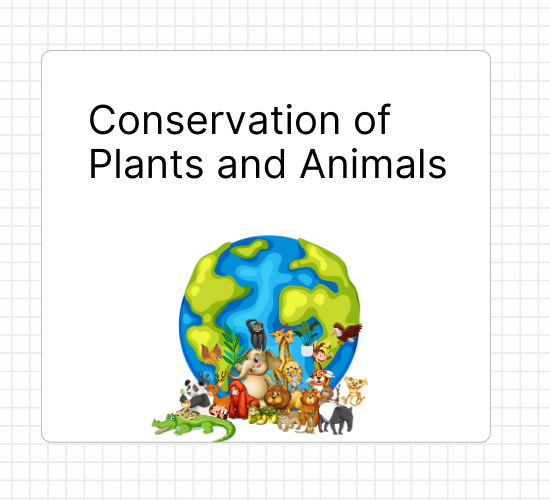 Conservation of Plants and Animals