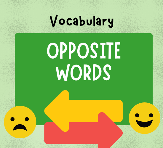 Fun with Opposite Words