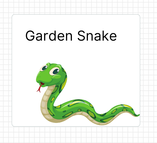 Garden Snake