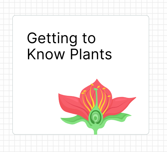 Getting to Know Plants