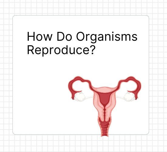 How Do Organisms Reproduce