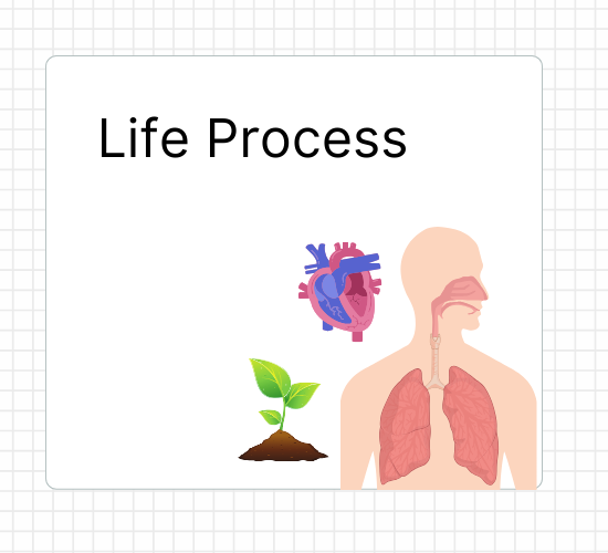 Life Process