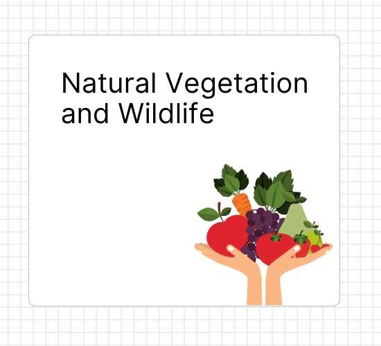 Natural Vegetation and Wildlife