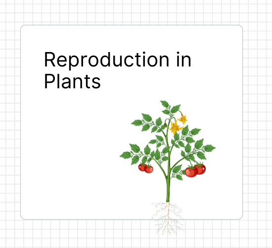 Reproduction in Plants