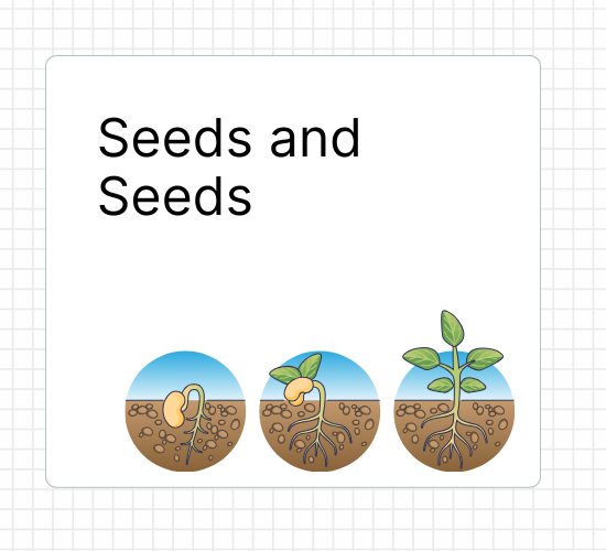 Seeds and Seeds