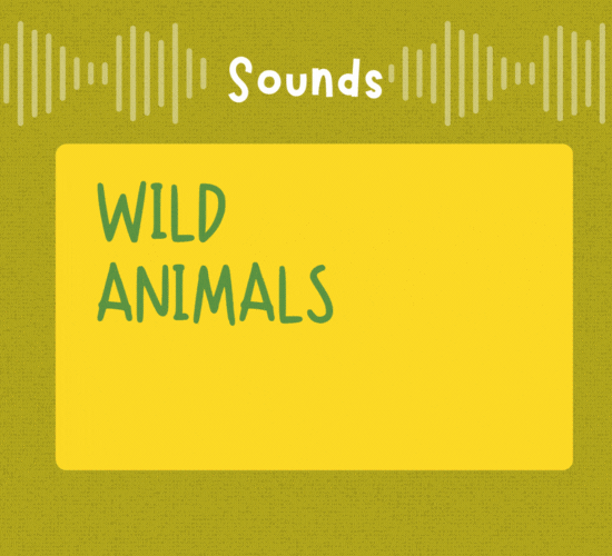 Wild Animals Sounds