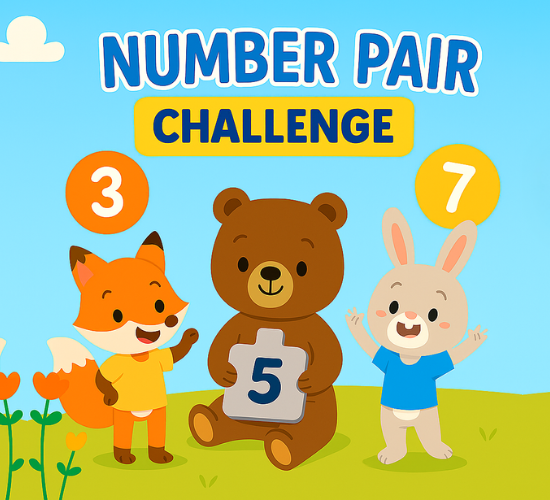 Number Pair Challenge