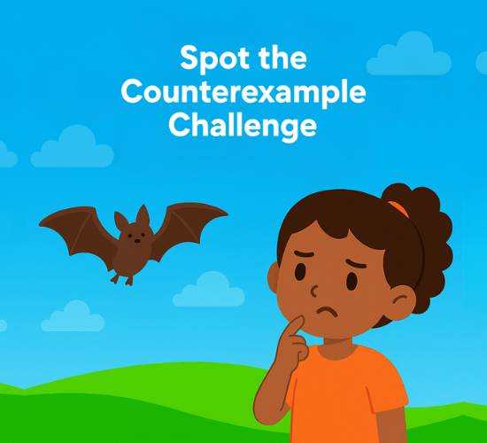 Spot the Counterexample Challenge