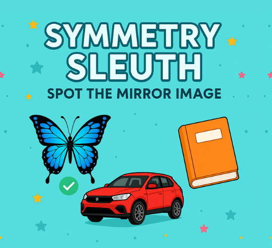 Symmetry Sleuth: Spot the Mirror Image