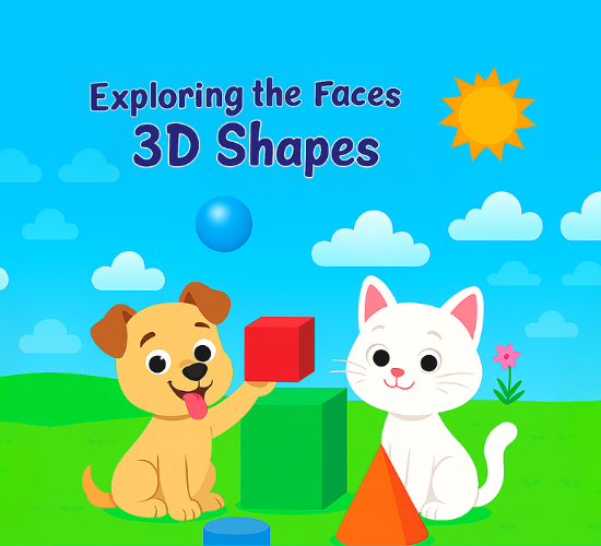 Exploring the Faces of 3D Shapes