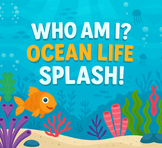 Who Am I? Ocean Life Splash!