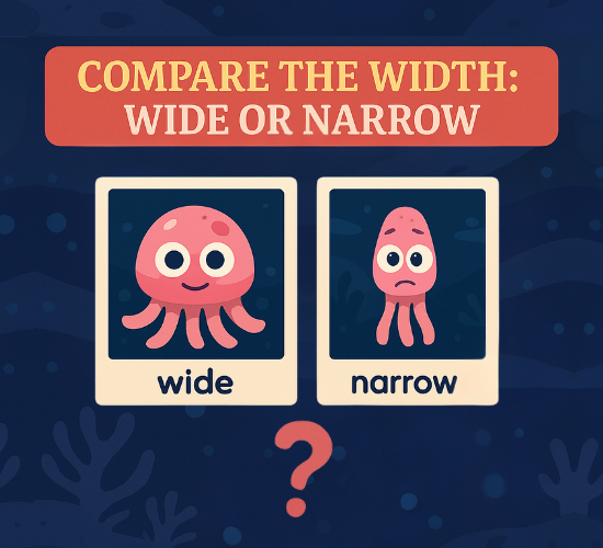 Compare the Width: Wide or Narrow?