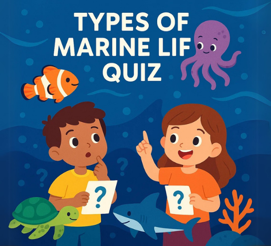 Types of Marine Life Quiz