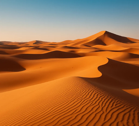 Discover the Sahara Desert Quiz