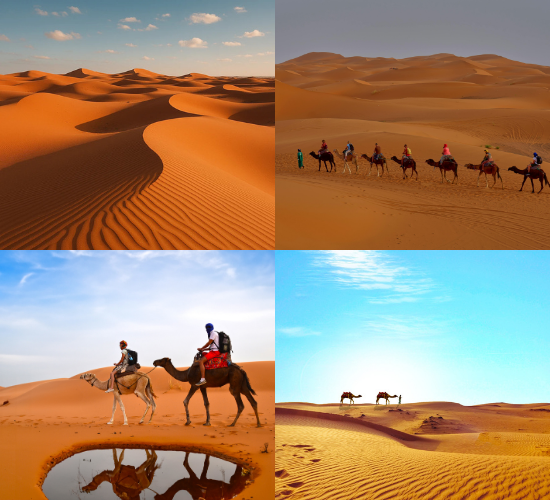 Sahara Desert Quiz