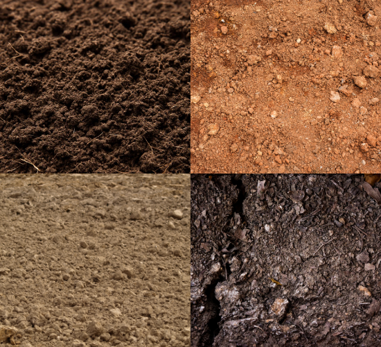 Soil Quiz