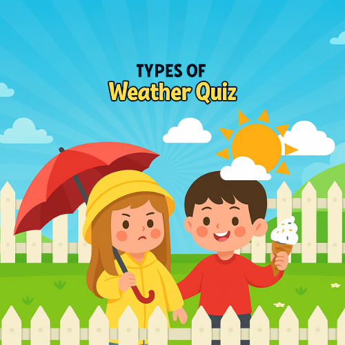 Types Of Weather Quiz