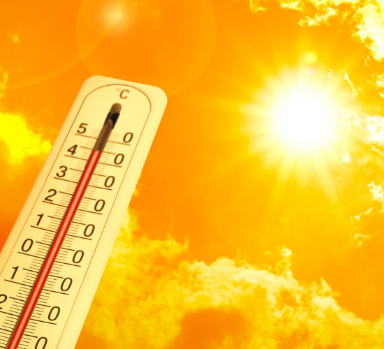 Heatwaves Quiz