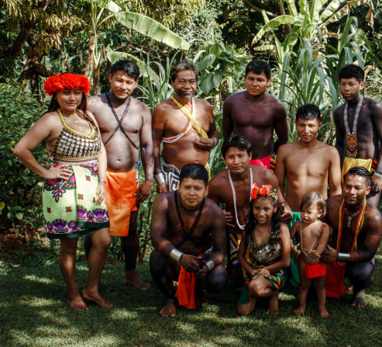 Tribals, Dikus and the Vision of a Golden Age