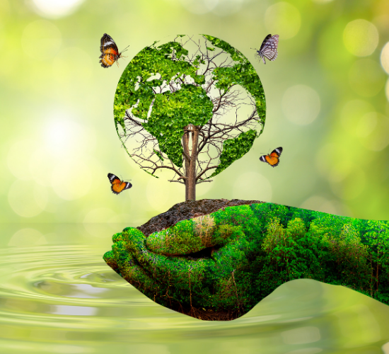 Environment