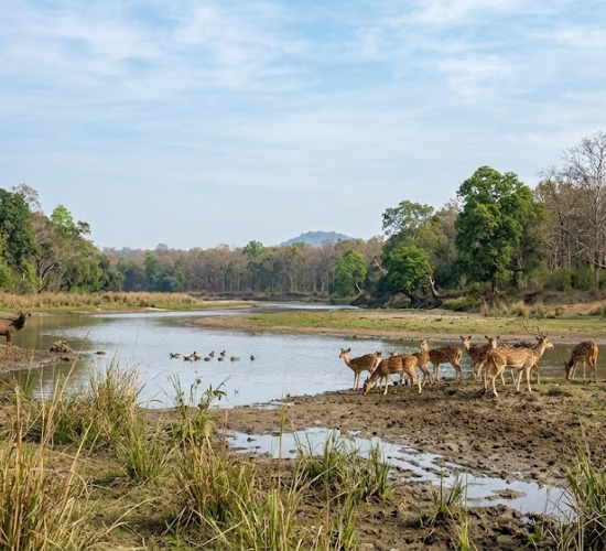 India : Climate, Vegetation and Wildlife